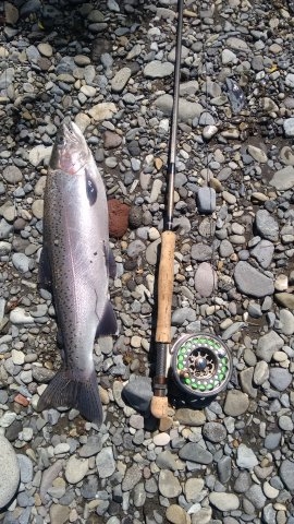 I thought it would be the only one.