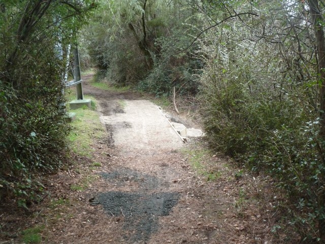 p1020477-jpg TRT Upgrade