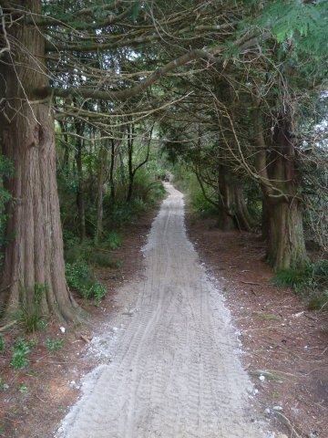 p1020480-jpg Further TRT Upgrade