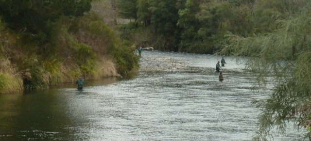 p1020494-1-jpg The Major Jones