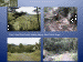 slide0025.gif