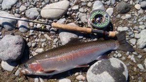 181105.2 IMG_20181105_151152384